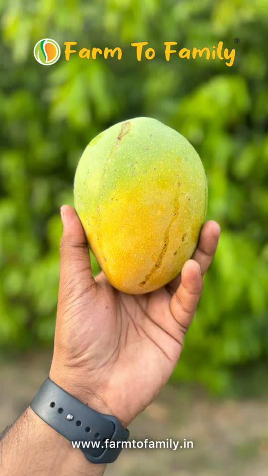 Organic Imam Pasand Mango